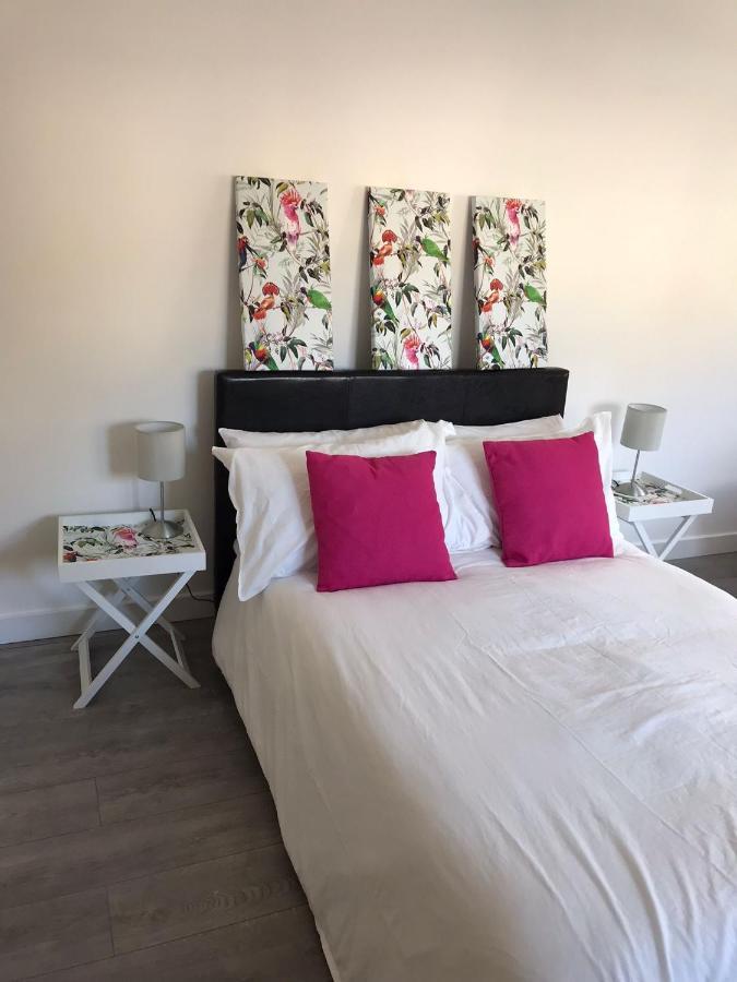 Ella Court Devon Appartement Torquay Buitenkant foto